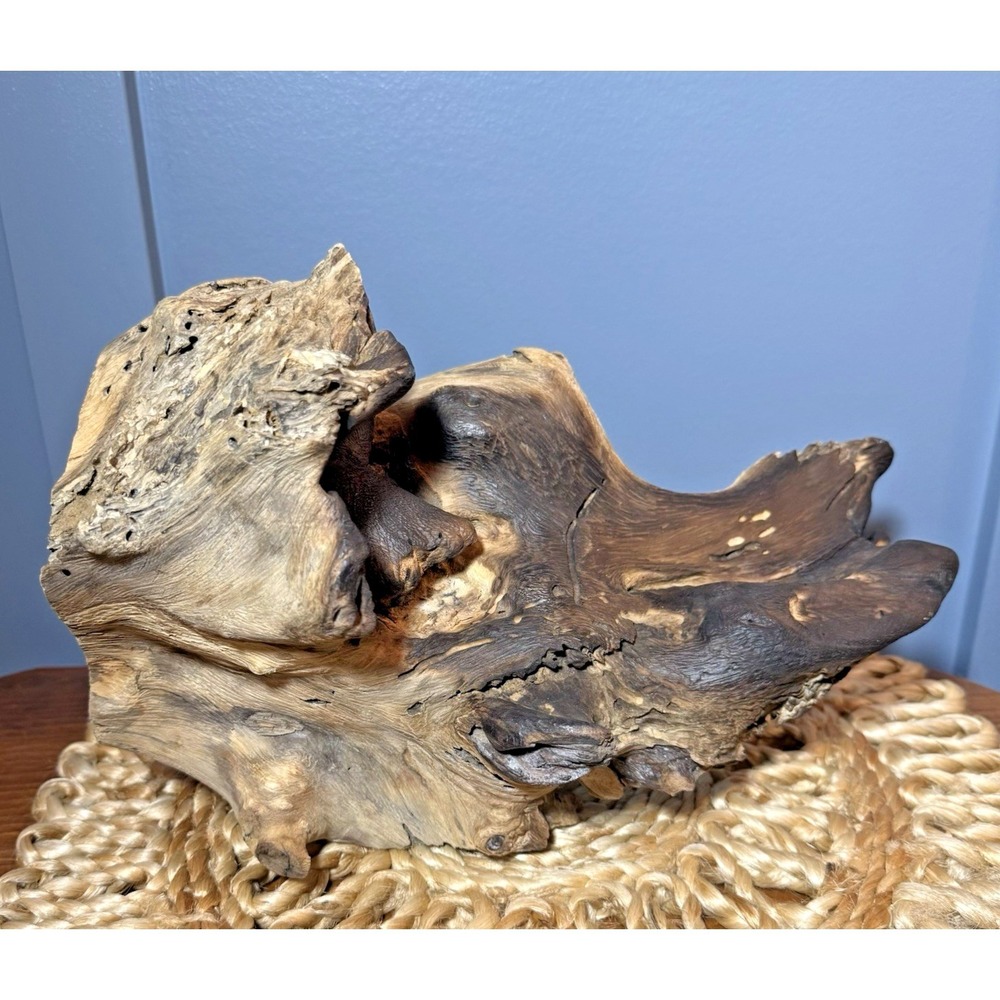 Natural Driftwood Sculpture 12" Organic Wood Decor Coffee Table Shelf Art Terra